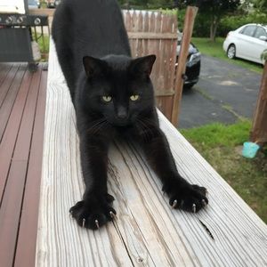 Meet your Posher, Monica